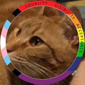 Meet your Posher, Carrie